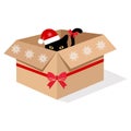 Illustration of a black cat in a festive box with a red ribbon Royalty Free Stock Photo